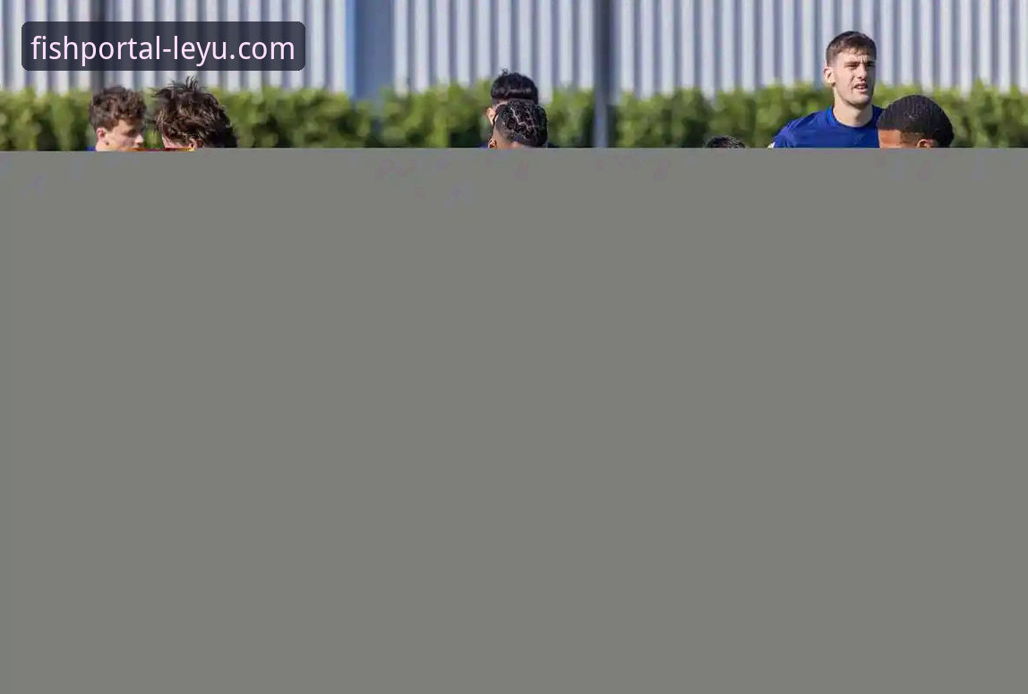 意大利连续三届无缘世界杯：蓝衣军团沉沦背后的深度剖析